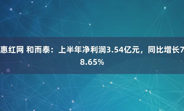 惠红网 和而泰：上半年净利润3.54亿元，同比增长78.65%