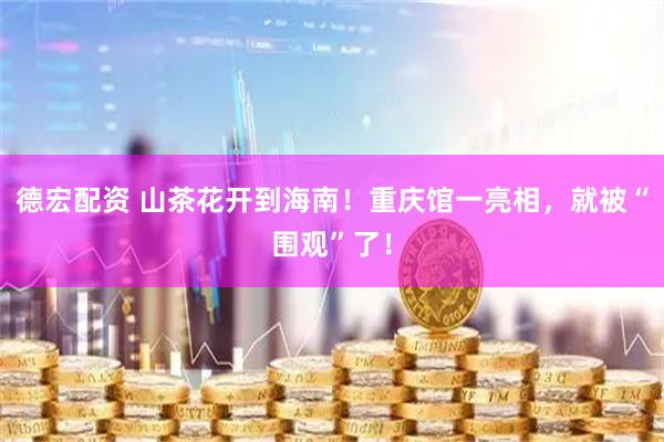 德宏配资 山茶花开到海南！重庆馆一亮相，就被“围观”了！